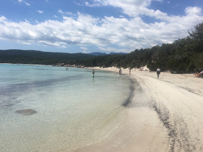 Du Nord au Sud de l'Île retour, apprécié, sur les plages Du Nord au Sud de l'Île retour, apprécié, sur les plages