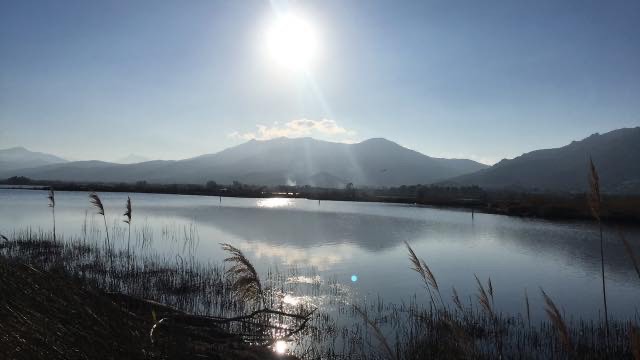 L'étang de Chjurlinu à Biguglia(Photo  Catherine Avisse)
