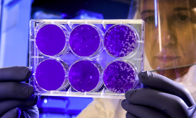 Coronavirus : troisième jour sans nouveaux cas en Corse Coronavirus : troisième jour sans nouveaux cas en Corse