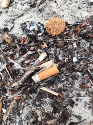 Porto Vecchio : les filtres plastiques, un fléau invisible qui pollue le littoral
