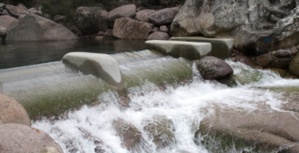 Sécheresse : "aucune mesure de restriction d'usage de l'eau n'est nécessaire pour l'instant" Sécheresse : "aucune mesure de restriction d'usage de l'eau n'est nécessaire pour l'instant"