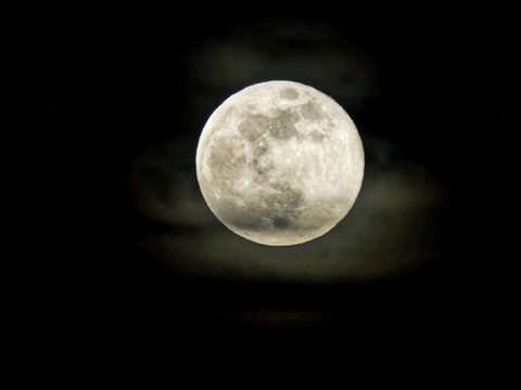 Photo Corentin Fourni