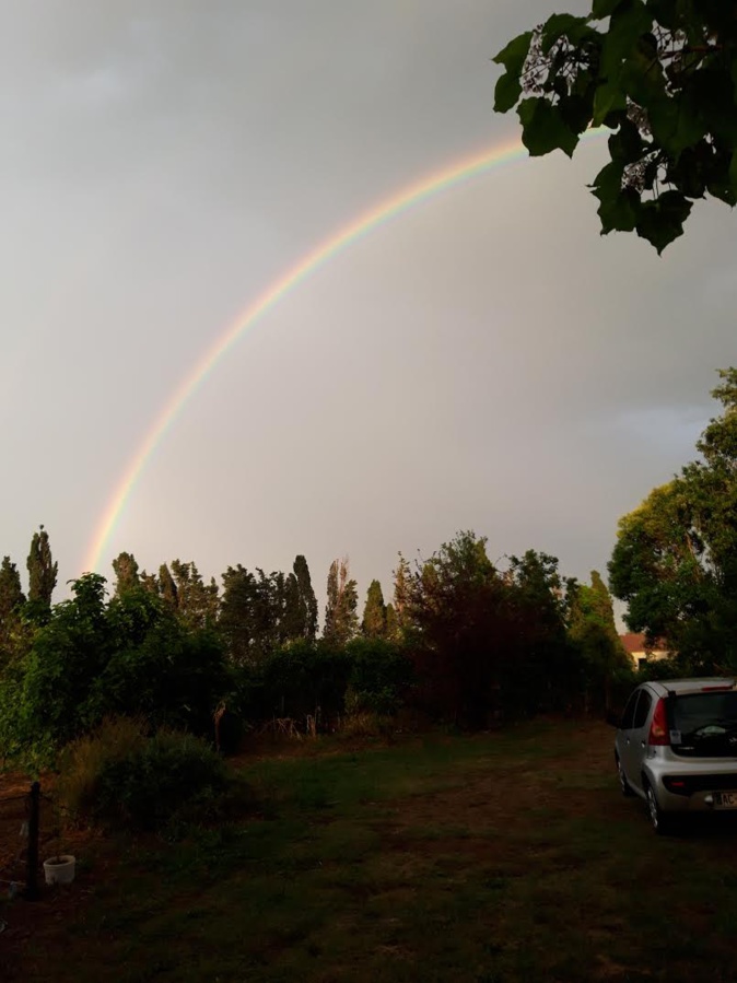 (Antoinette Filippi) (Antoinette Filippi)