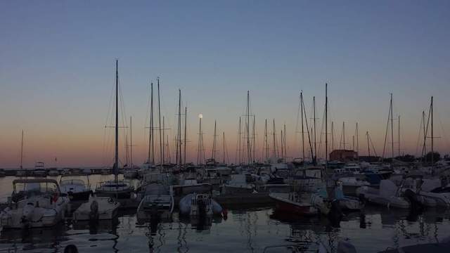 Photo  Martine Quernet