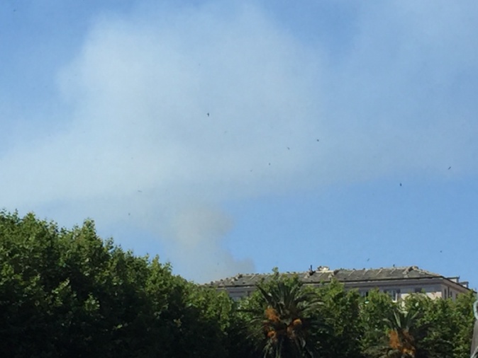 Santa Maria di Lota : brûlage dirigé en cours Santa Maria di Lota : brûlage dirigé en cours