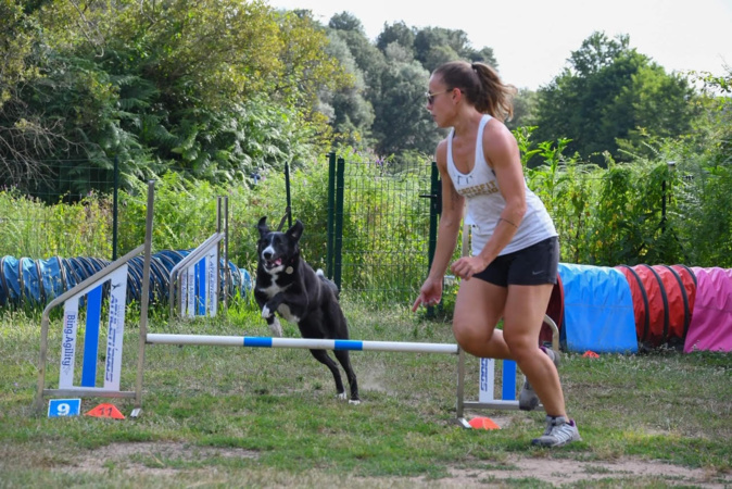 Afa : un jeu concours au club canin athleti’dogs