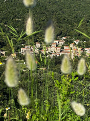 La photo du jour : derrière les fleurs des champs, Guargualé