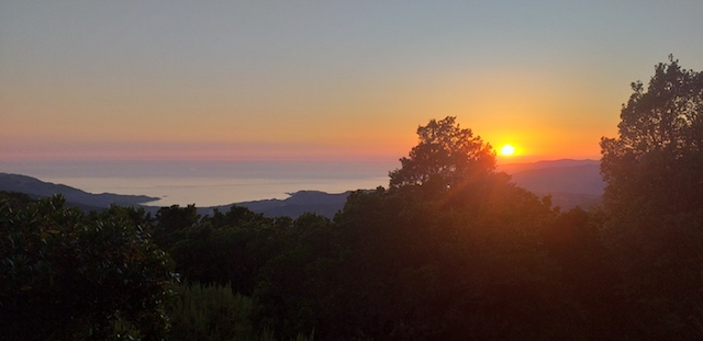 Sagone, photo de Raffaeddu Vesperini descend une fois de plus les chèvres de st Eliseo...