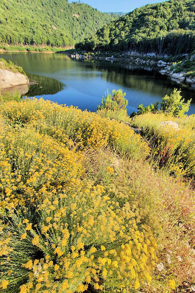 Photo Dominique Mondoloni