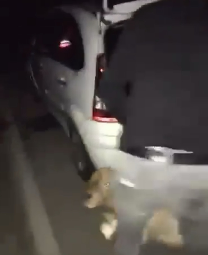 Photo screen de la vidéo qui a circulée sur internet Photo screen de la vidéo qui a circulée sur internet