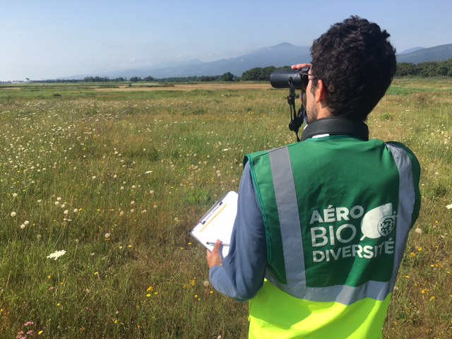 Aéro biodiversité étudie aussi bien faune que flore sur les aeroports, ici à Poretta (copyright : r.seitre@aerobiodiversite.org