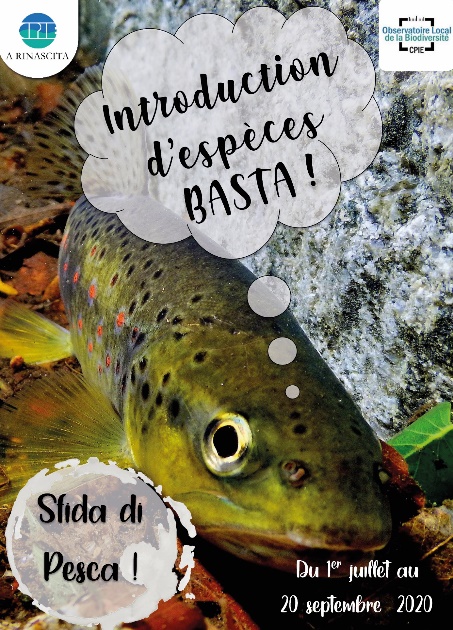 Biodiversité : Participez au challenge « Sfida di pesca »  du 1er juillet au 20 septembre.