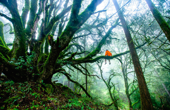 © Pixabay / Free-Photos © Pixabay / Free-Photos