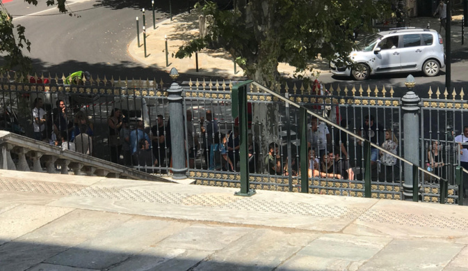 Veau jeté vivant dans le vide : le procès du prévenu devant le TGI de Bastia Veau jeté vivant dans le vide : le procès du prévenu devant le TGI de Bastia