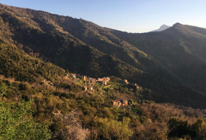 Photo Guillaume Antomarchi