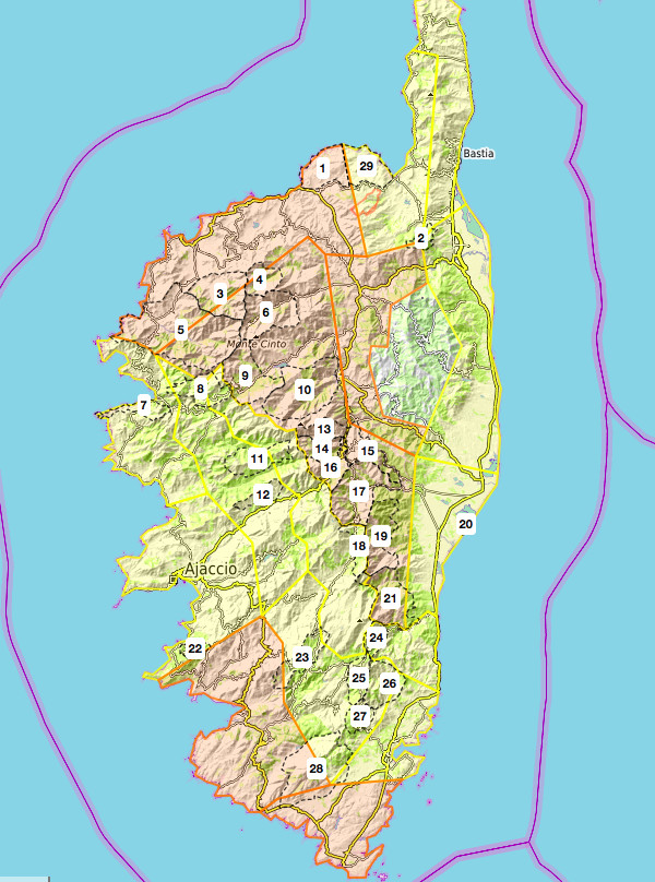 Risque incendie important dans plusieurs massifs forestiers de Corse ce 25 juillet 
