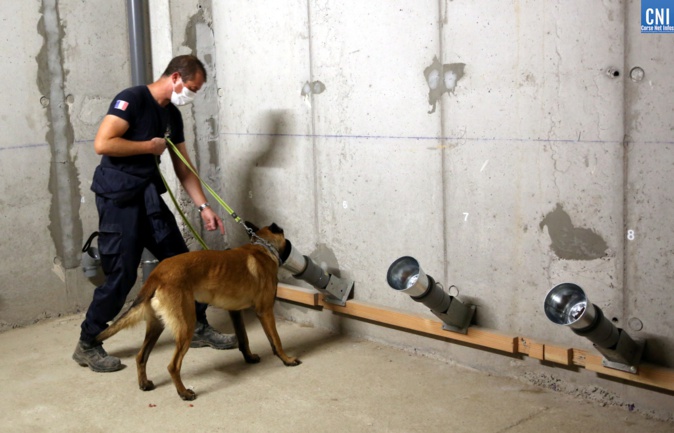 Photo Michel Luccioni Photo Michel Luccioni