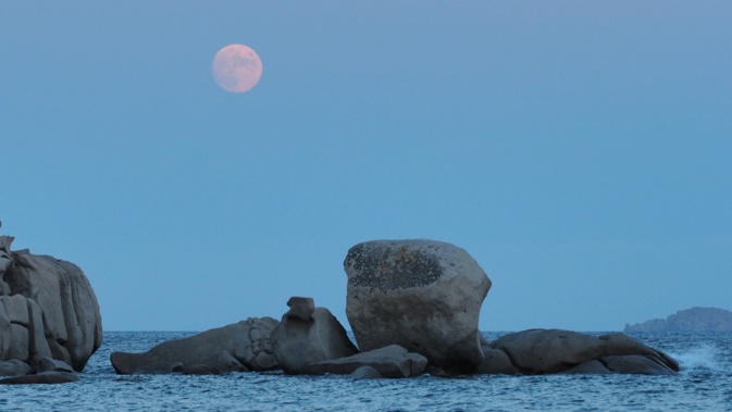La photo du jour : pleine lune sur Palombaggia La photo du jour : pleine lune sur Palombaggia