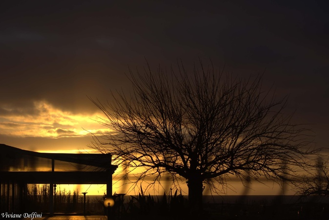 A màghjina - L’ultimi lumi di u Liamone A màghjina - L’ultimi lumi di u Liamone