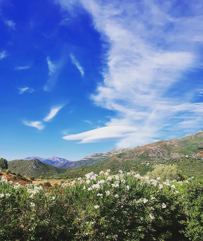 (Ghizlane Brylewski) (Ghizlane Brylewski)