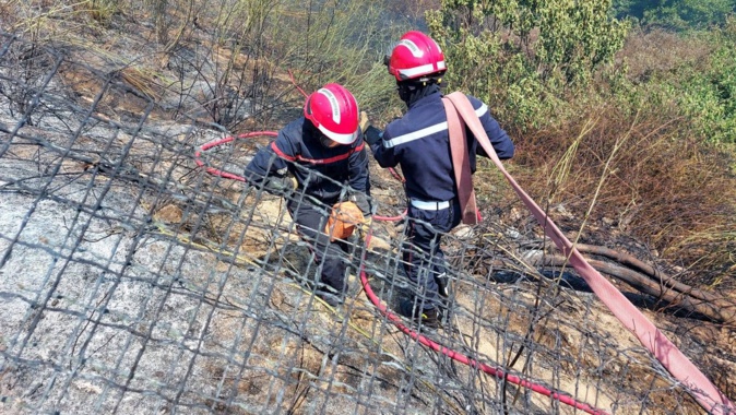 Incendie à Ajaccio : une dizaine d'hectares parcourus à Saint-Antoine Incendie à Ajaccio : une dizaine d'hectares parcourus à Saint-Antoine