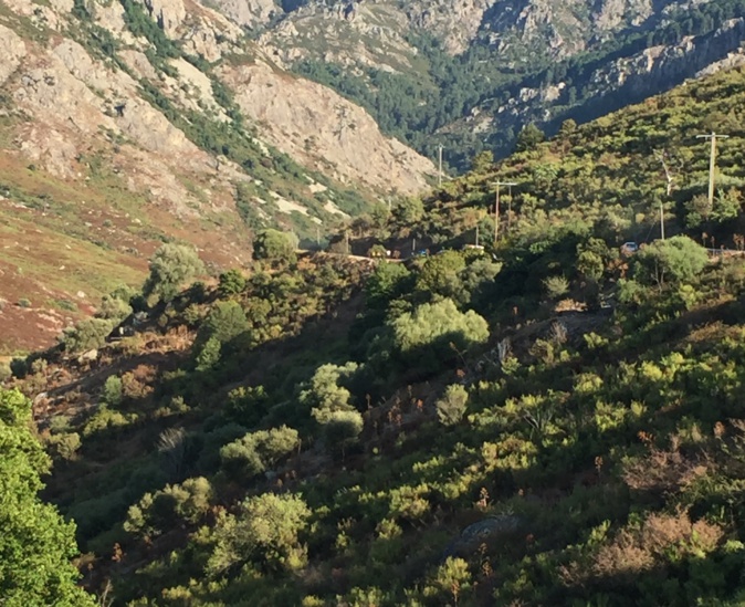 Calenzana : une voiture dans le ravin de la route de la Flatta. 5 jeunes… blessés Calenzana : une voiture dans le ravin de la route de la Flatta. 5 jeunes… blessés