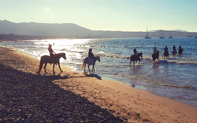 La photo du jour : balade équine au crépuscule La photo du jour : balade équine au crépuscule