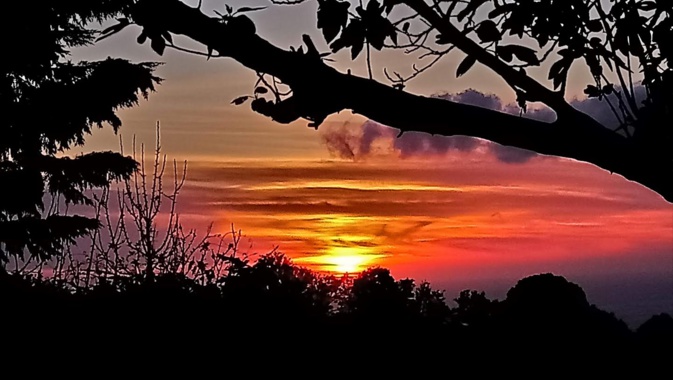 Calcatoggio (Michèle Multedo) Calcatoggio (Michèle Multedo)