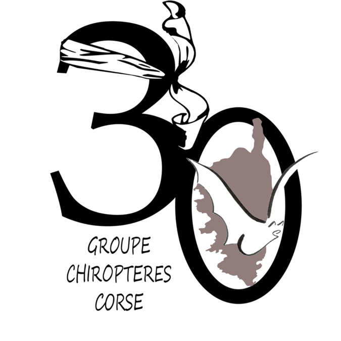 Plongez dans le monde fascinant et envoutant des chauves-souris corses… Plongez dans le monde fascinant et envoutant des chauves-souris corses…