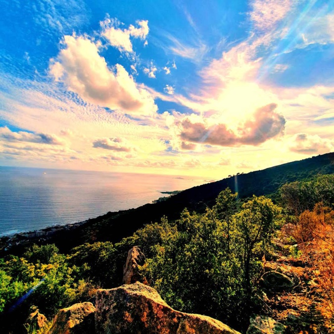 Marilyne Nicolai Marilyne Nicolai