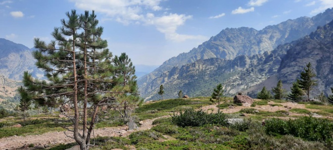 La photo du jour : entre Ascu et le Monte Cintu La photo du jour : entre Ascu et le Monte Cintu