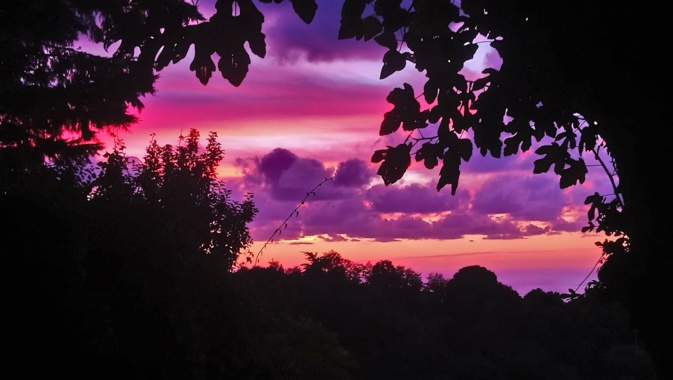 Calcatoggio (Michéle Multedo)