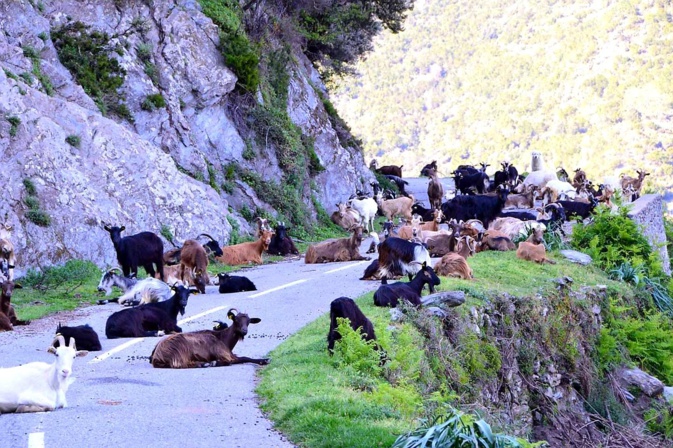 La photo du jour : entre Pietra et Novale