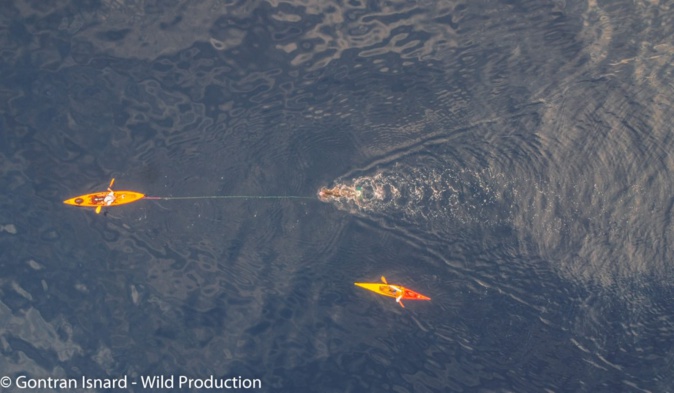 Des nouvelles de Thierry Corbalan, l'homme dauphin corse