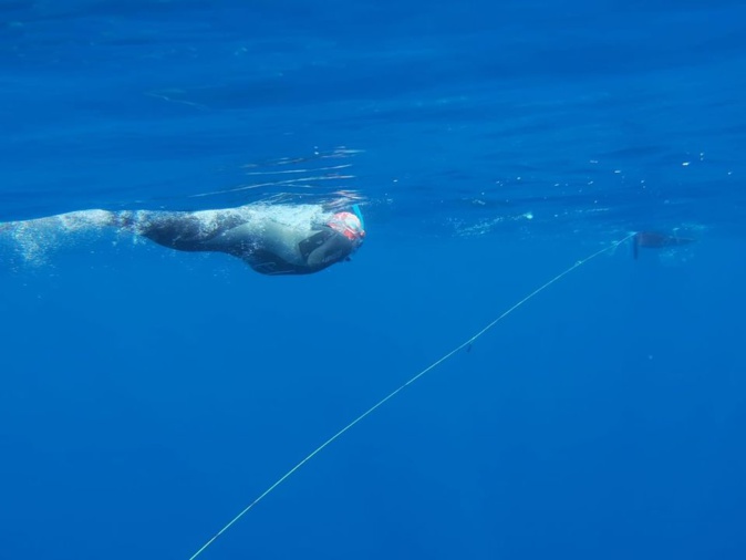 Des nouvelles de Thierry Corbalan, l'homme dauphin corse