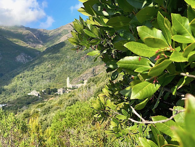La météo du vendredi 18 septembre 2020 en Corse La météo du vendredi 18 septembre 2020 en Corse