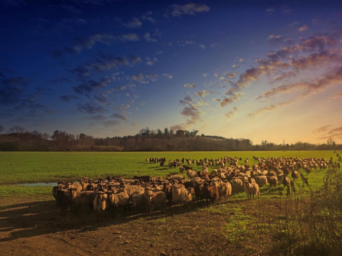 La photo du jour : les belles couleurs d'Aleria La photo du jour : les belles couleurs d'Aleria