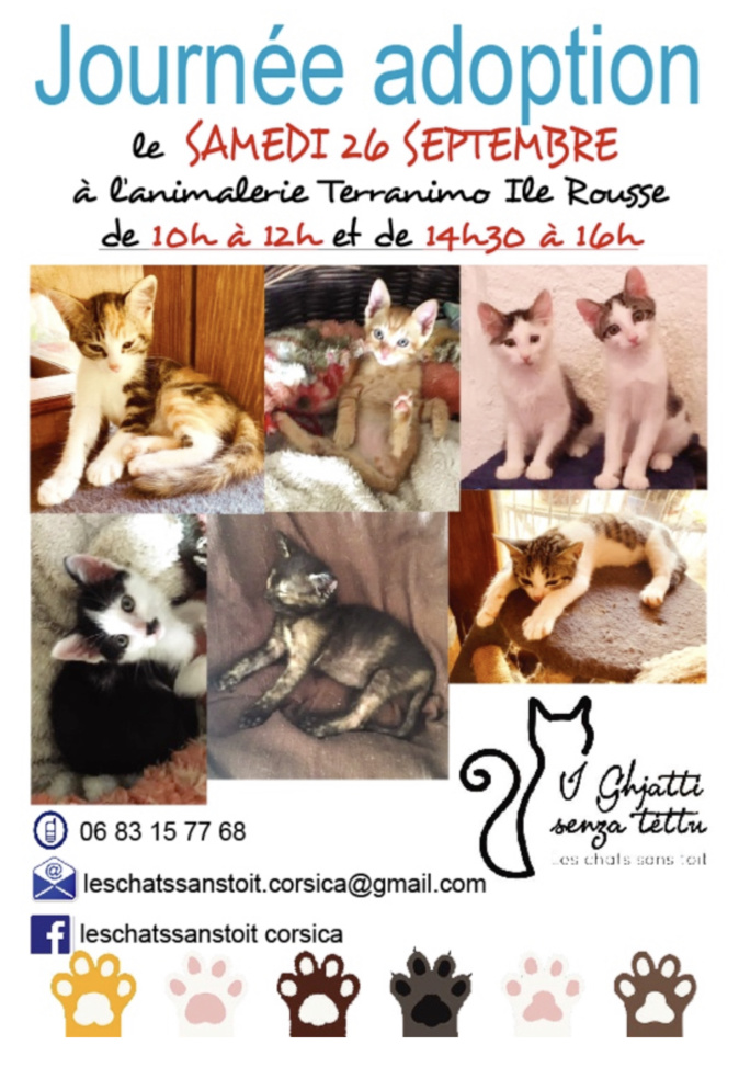 Lisula : I Ghjatti senza tettu recherchent des nouvelles familles Lisula : I Ghjatti senza tettu recherchent des nouvelles familles