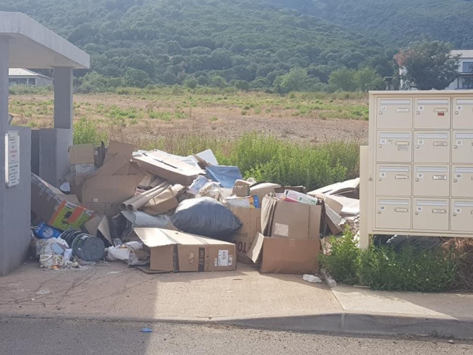 Tocc'à Voi : "Quand Les habitants des jardins de Borgo nettoient leurs locaux à poubelles"