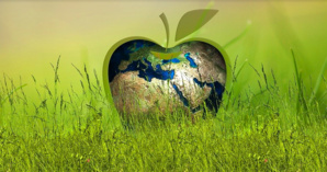 En Corse les jeunes agissent pour un tourisme responsable En Corse les jeunes agissent pour un tourisme responsable