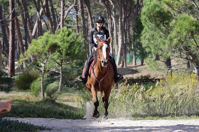 Photos Gilbert Guizol Photos Gilbert Guizol