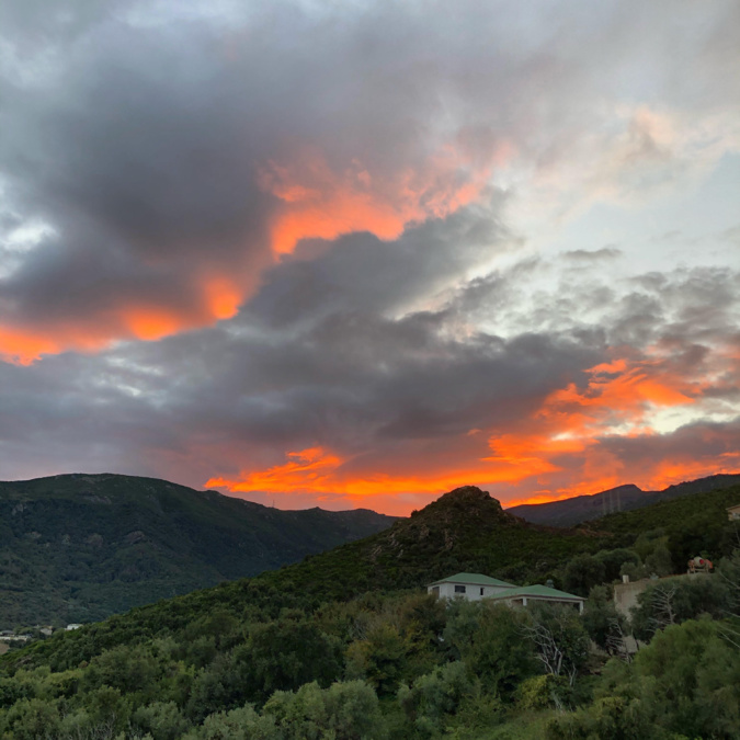 Partine (Dominique Lenziani Pasqualini) Partine (Dominique Lenziani Pasqualini)