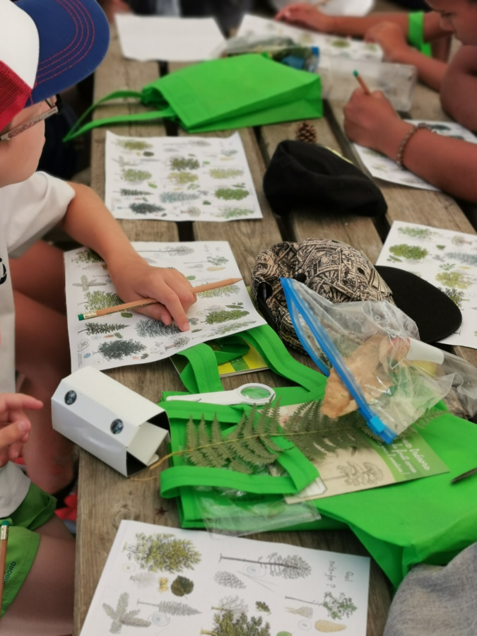 Parmi les actions des 2 partenaires : les colo-apprenantes Parmi les actions des 2 partenaires : les colo-apprenantes