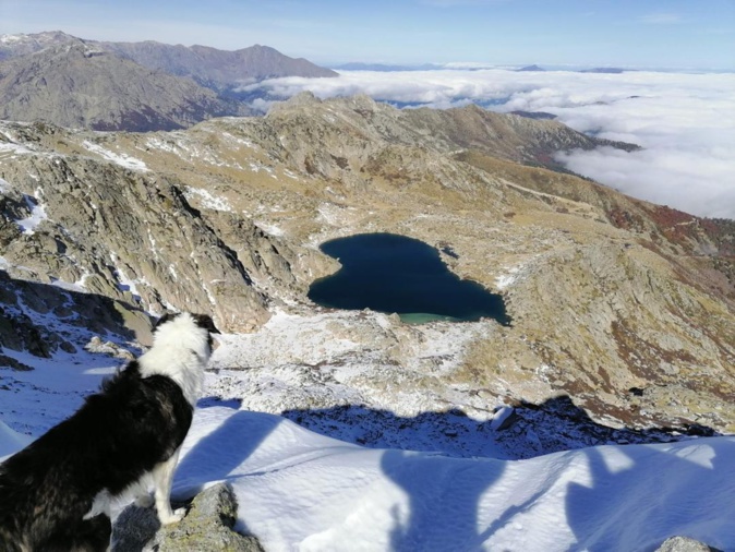 La photo du jour : Jack au lac de Bastani