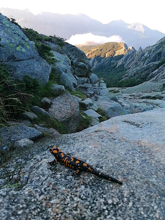 La photo du jour : sur le GR 20 La photo du jour : sur le GR 20