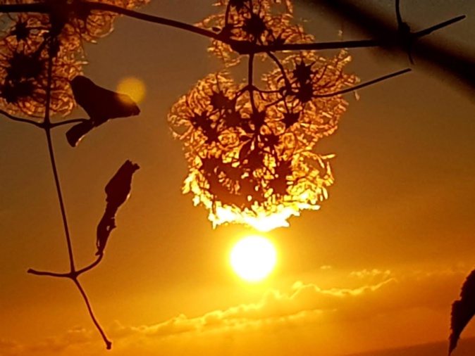 U tempu di l'estate di San Martinu (Marité Valery) U tempu di l'estate di San Martinu (Marité Valery)