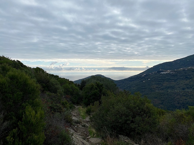 @corsenetinfos.corsica