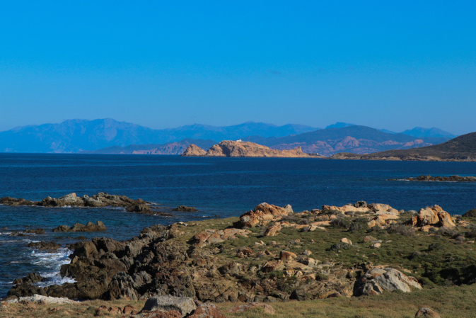 La photo du jour : Lisula rossa La photo du jour : Lisula rossa