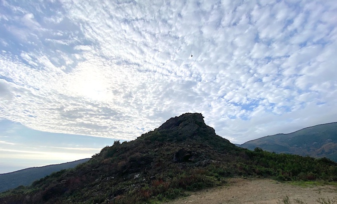 @corsenetinfos.corsica @corsenetinfos.corsica