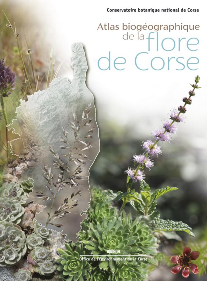 Toute la diversité de la flore corse recensée dans le nouvel Atlas biogéographique d’Albiana Toute la diversité de la flore corse recensée dans le nouvel Atlas biogéographique d’Albiana